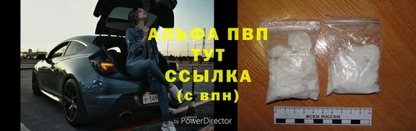 прущие грибы Абдулино