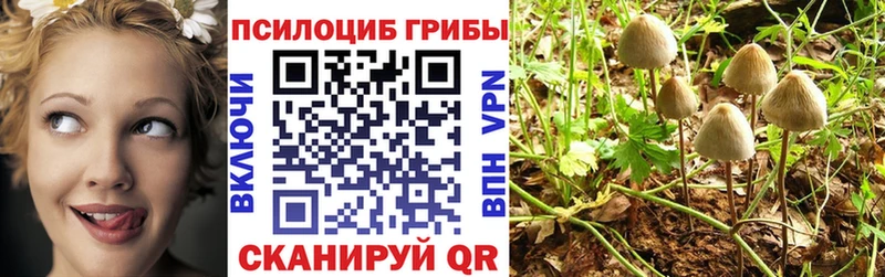 Псилоцибиновые грибы мухоморы  хочу   Урень 