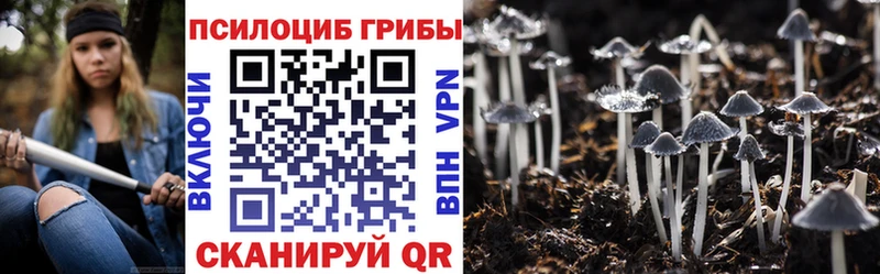 Галлюциногенные грибы Cubensis Урень